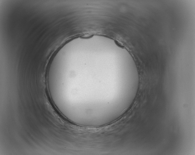 X0000073870002200608312104