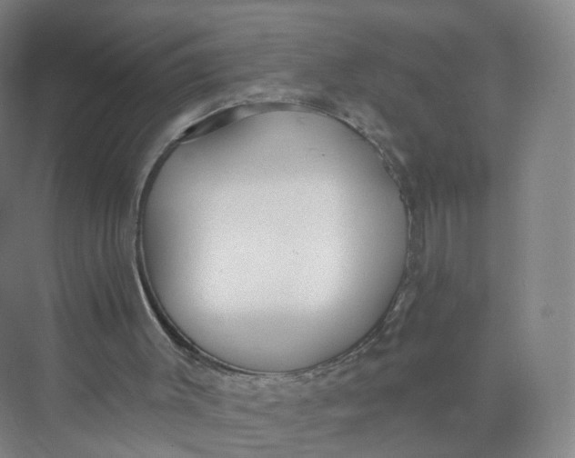 X0000073870003200608312104