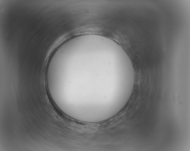 X0000073870004200608312104