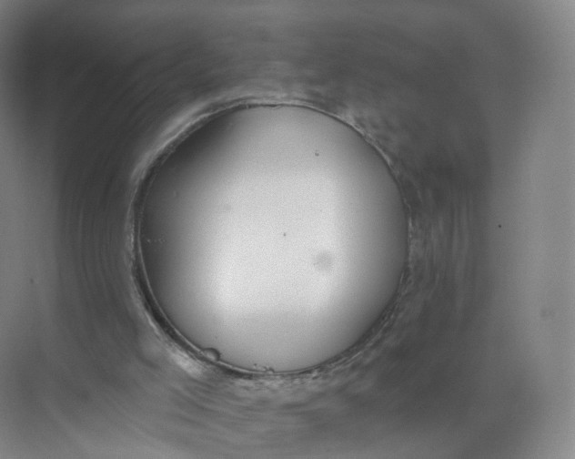 X0000073870005200608312104