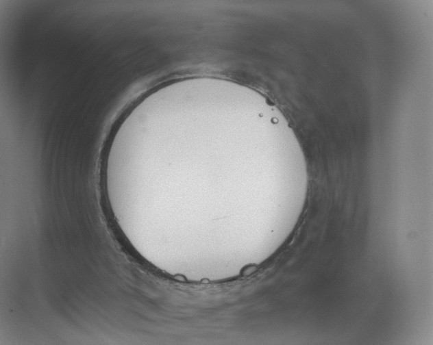 X0000073870006200608312104