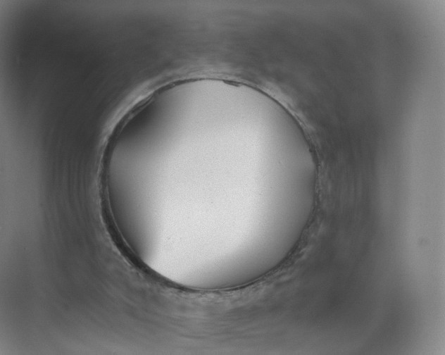 X0000073870007200608312104