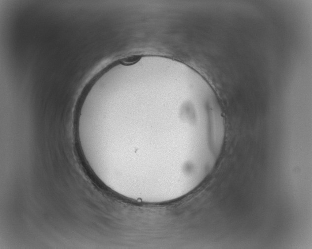 X0000073870008200608312104