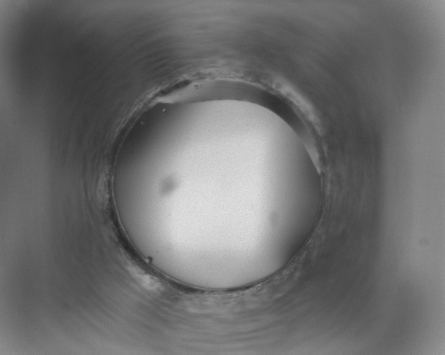 X0000073870009200608312104