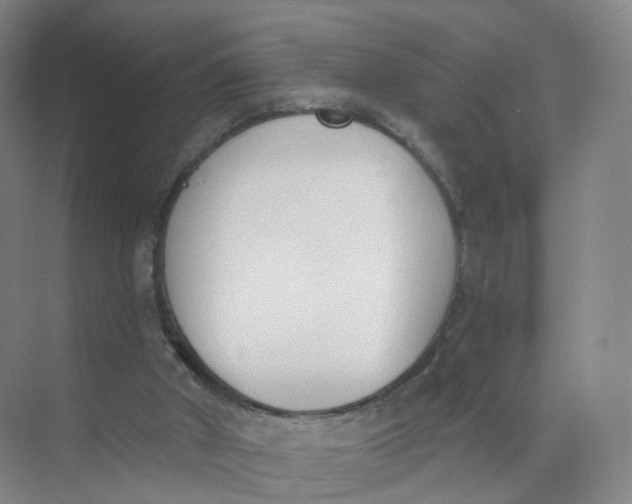 X0000073870010200608312104