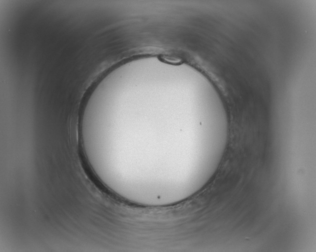 X0000073870011200608312104