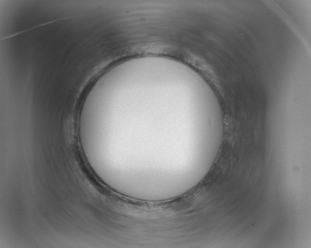 X0000073870012200608312104