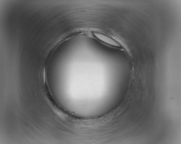 X0000073870013200608312104