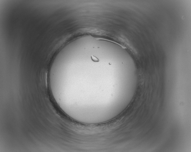 X0000073870014200608312104