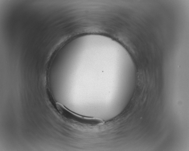 X0000073870015200608312104