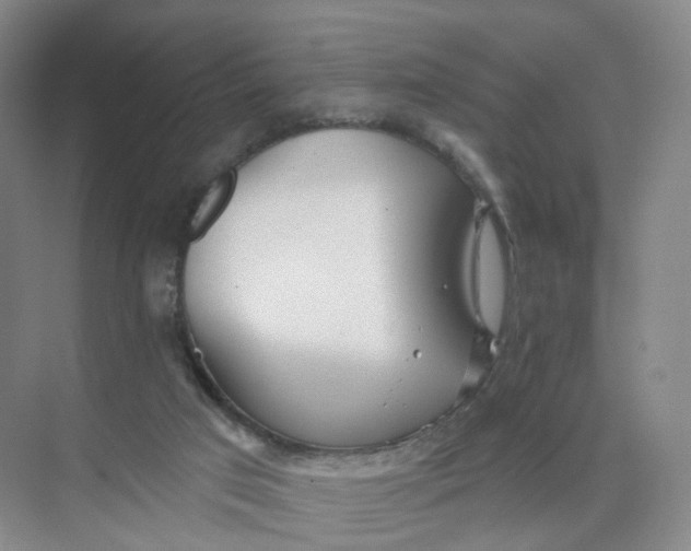 X0000073870017200608312104