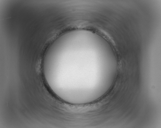 X0000073870018200608312104