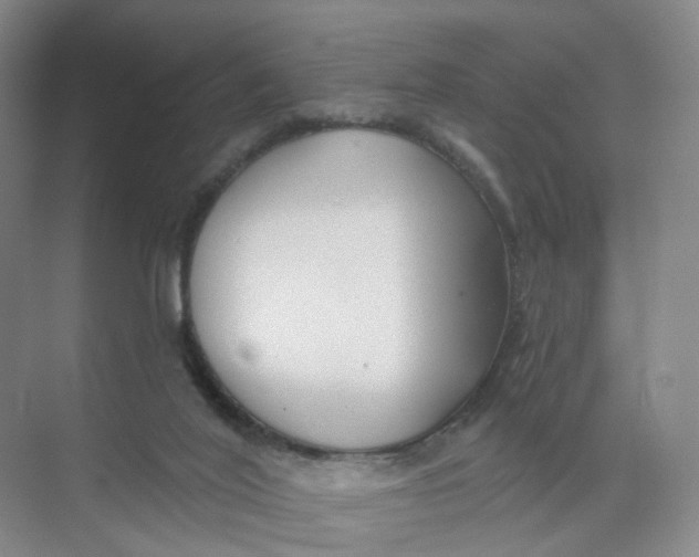 X0000073870020200608312104