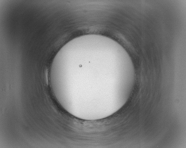 X0000073870022200608312104