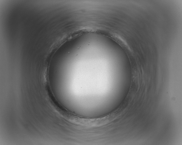 X0000073870023200608312104