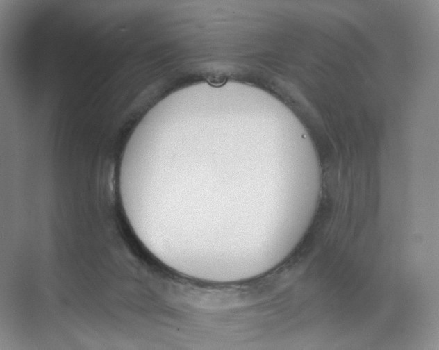 X0000073870024200608312104