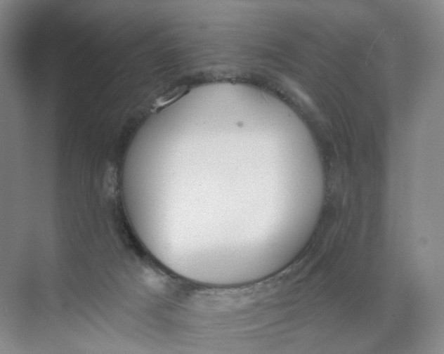 X0000073870025200608312104