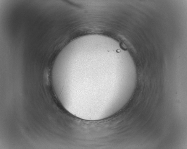 X0000073870026200608312104