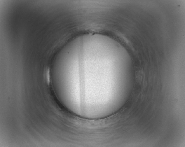 X0000073870027200608312104