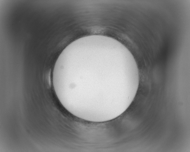 X0000073870028200608312104