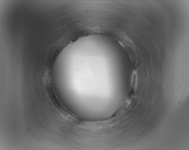 X0000073870029200608312104