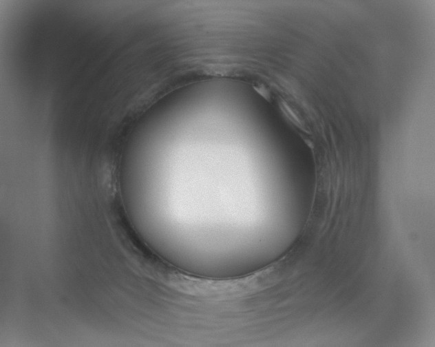 X0000073870031200608312104