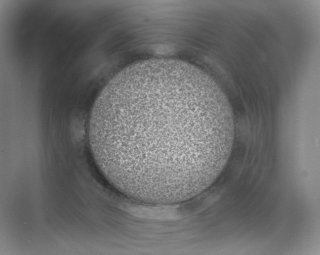 X0000073870032200608312104