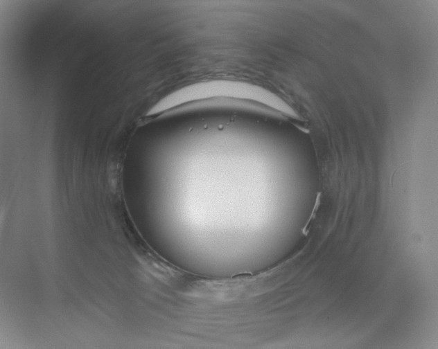 X0000073870033200608312104