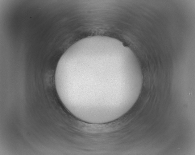 X0000073870034200608312104