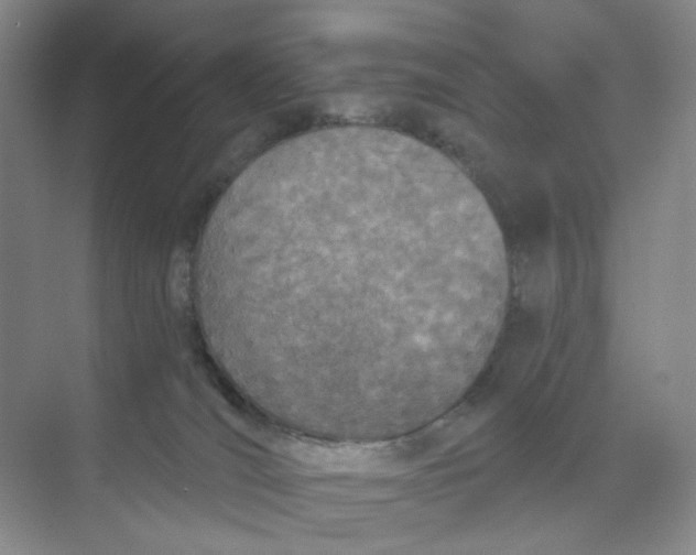 X0000073870036200608312104