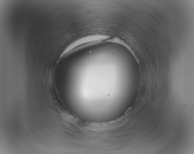 X0000073870037200608312104