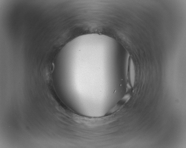 X0000073870039200608312104