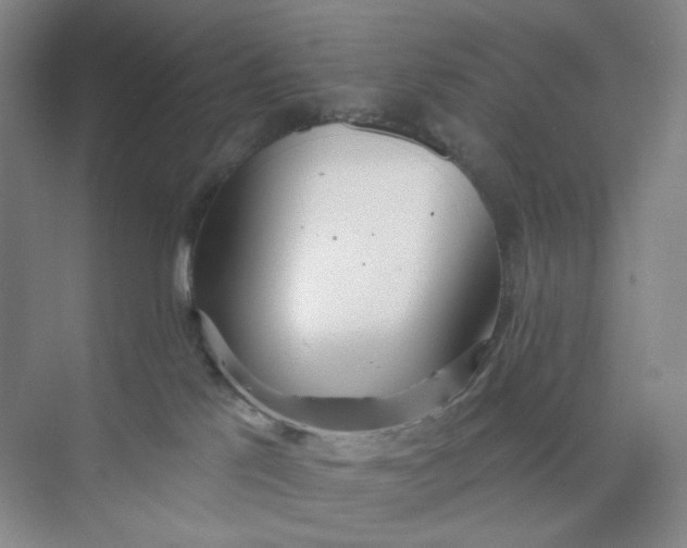 X0000073870041200608312104