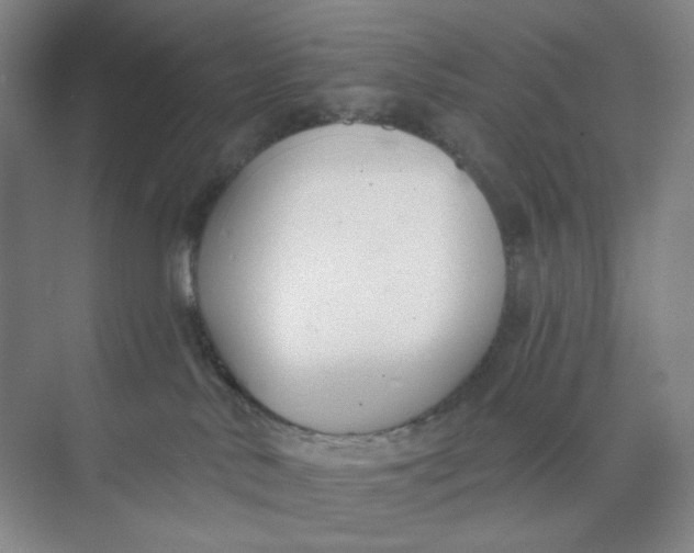 X0000073870042200608312104