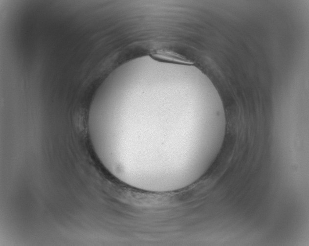 X0000073870044200608312104