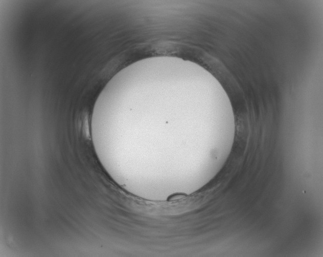 X0000073870046200608312104