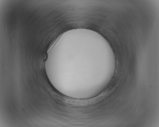 X0000073870048200608312104