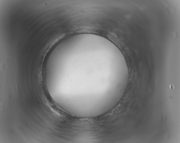 X0000073870050200608312103