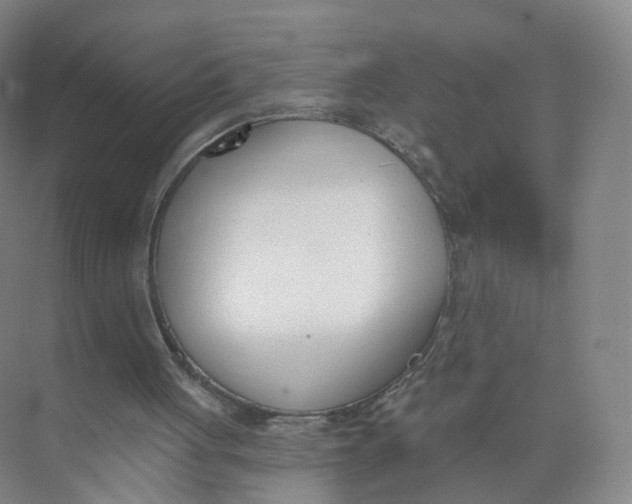 X0000073870051200608312103