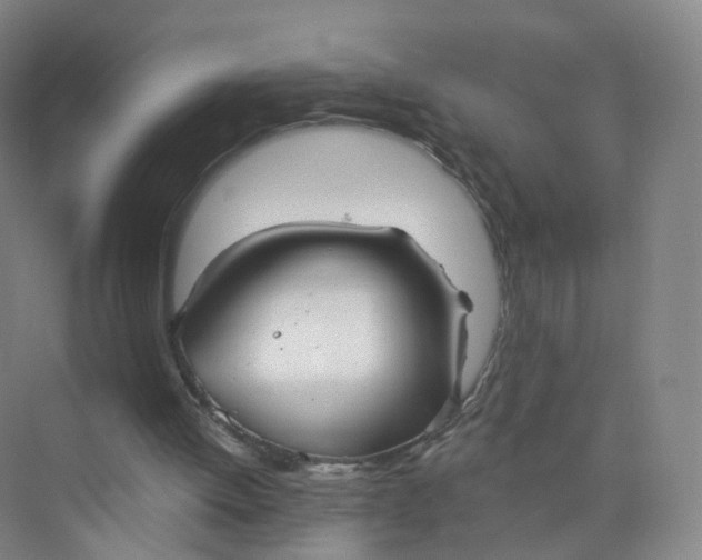 X0000073870052200608312103