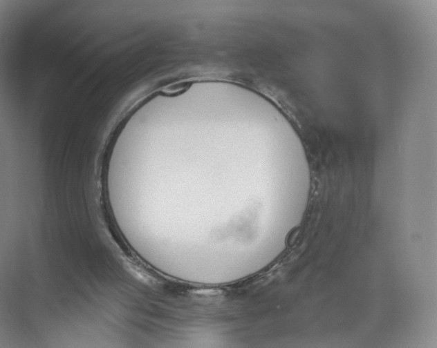 X0000073870053200608312103