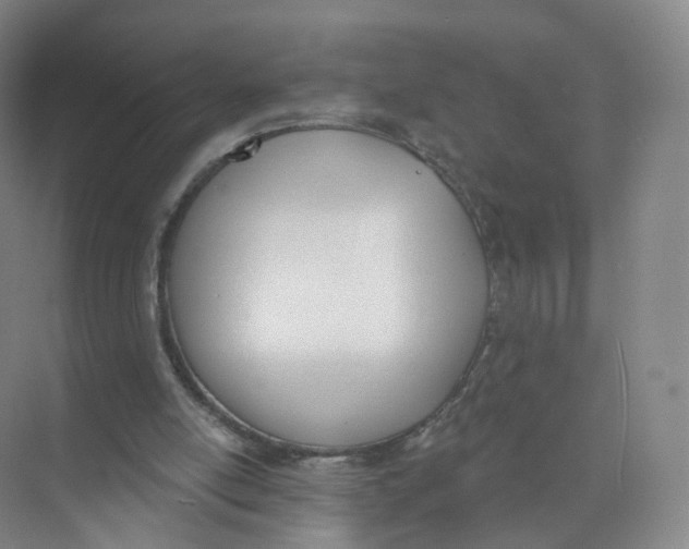 X0000073870054200608312103