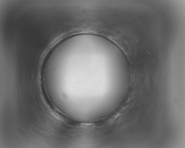 X0000073870055200608312103