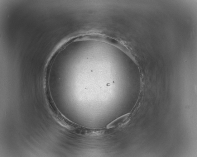 X0000073870056200608312103