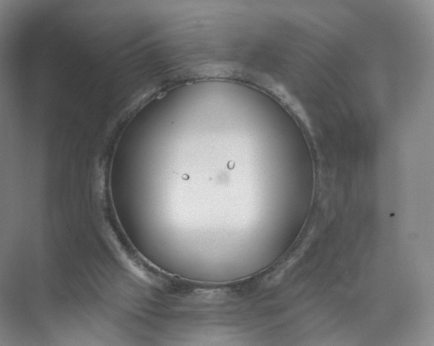 X0000073870057200608312103