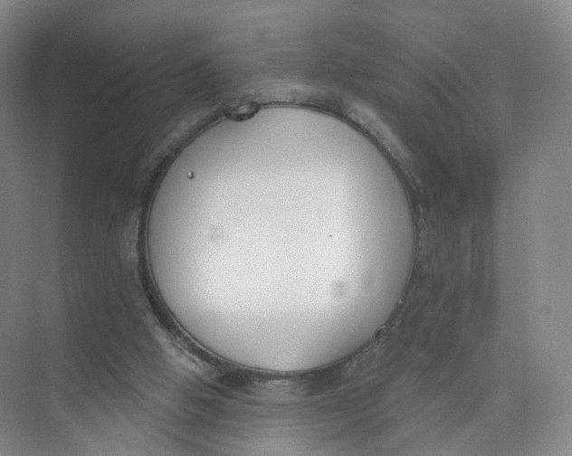 X0000073870058200608312103