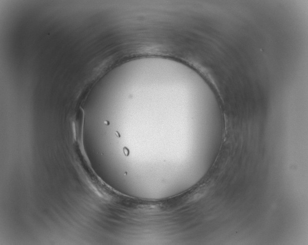 X0000073870061200608312103