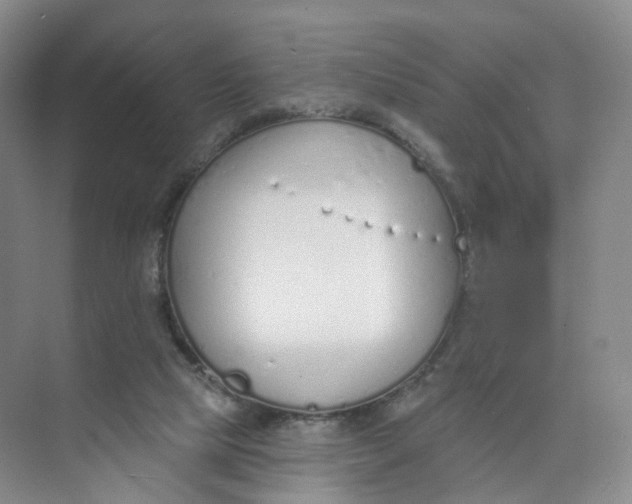 X0000073870065200608312103