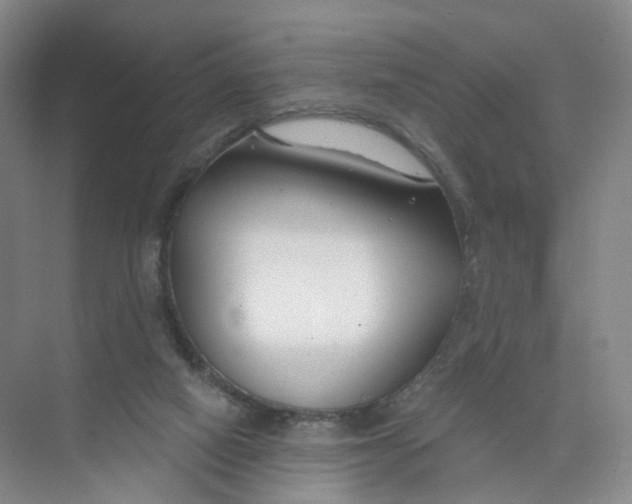 X0000073870066200608312103