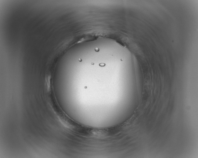 X0000073870070200608312103